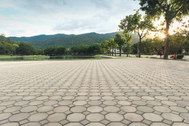 Best Driveway Paving Contractor  in Paden City, WV